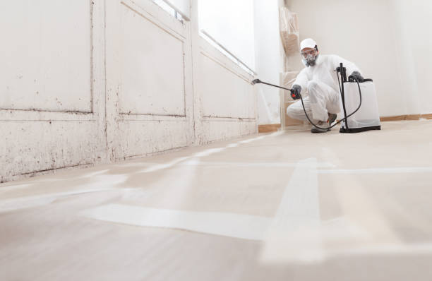 24/7 Emergency Crawl Space Mold Remediation experts in Middletown, VA